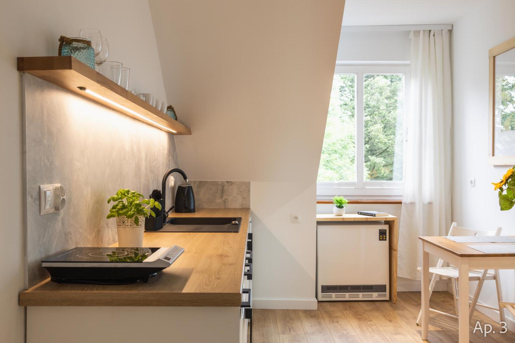 Apartamenty Krupowki 4 扎科帕内 外观 照片